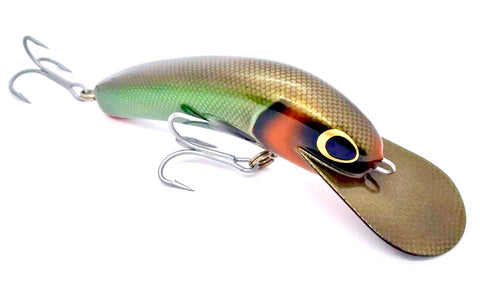 Mark A Lures. Creeky Callop Stretch Murray Cod Lure